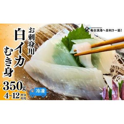 ふるさと納税 香美町 柔らかくて甘い!お刺身用 白イカむき身 350g(冷凍)