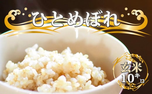 【2025年 11月上旬より発送開始】 新米 令和7年度産 ひとめぼれ 玄米10kg ／ 国産 岩手県産 雫石町産 米 こめ お米 ライス コメ ご飯 ごはん げんまい 産地直送 農家直送 数量限定 おすすめ 10 キロ １０ ｋｇ 【晴山農園】