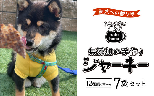 
無添加 ペット用 手作り ジャーキー 5種 7袋 セット 詰め合わせ 愛犬 納豆 鶏ささみ 牛タン 鶏肉 鹿レバー ペットフード おやつ 餌 エサ 京都 舞鶴
