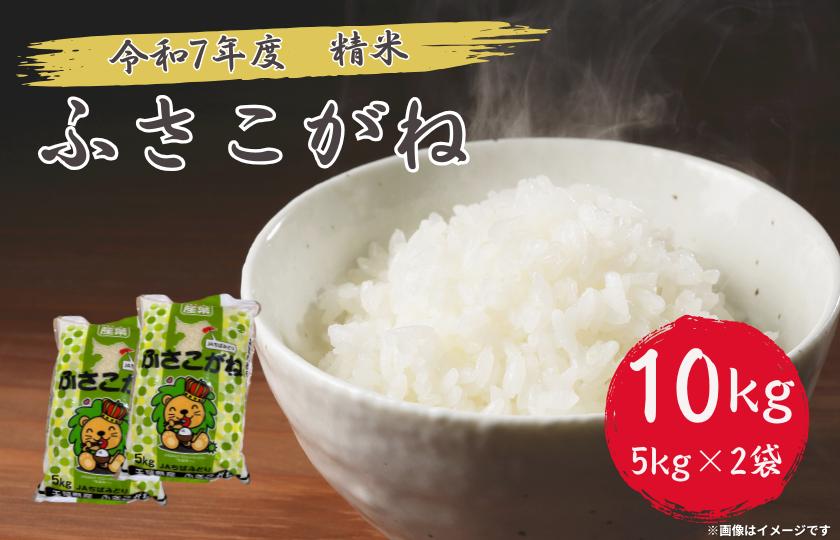 令和7年産 ふさこがね 精米 10kg （ 5kg × 2 ） ／ 米 こめ コメ お米 ごはん ご飯 精米 白米 10kg 5kg ふさこがね 令和7年産 新米 JA 農協 ちばみどり ちばみどり農業協同組合 千葉県 匝瑳市 送料無料