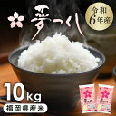 【ふるさと納税】令和6年産 新米 福岡県産 米 夢つくし 10kg ( 5kg × 2袋 ) 令和6年 米 お米 こめ 白米 精米 ライス ブランド米 お取り寄せ 美味しい おいしい ご飯 ごはん 料理 調理 人気 おすすめ 小分け ふるさと納税 ふるさと 納税 福岡県 大川市