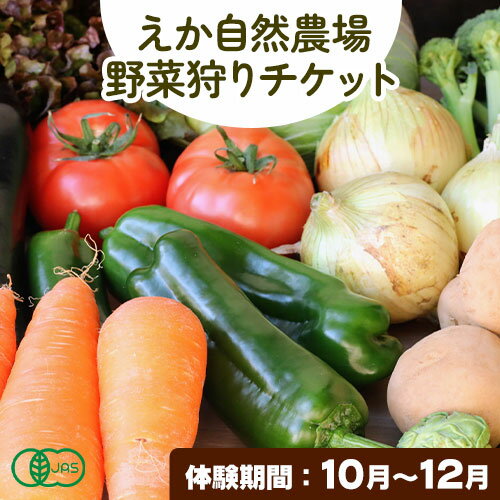 【ふるさと納税】野菜狩りチケット 10月-12月 株式会社えか自然農場《30日以内に出荷予定(土日祝除く)》収穫 体験 野菜 やさい チケット 流山市