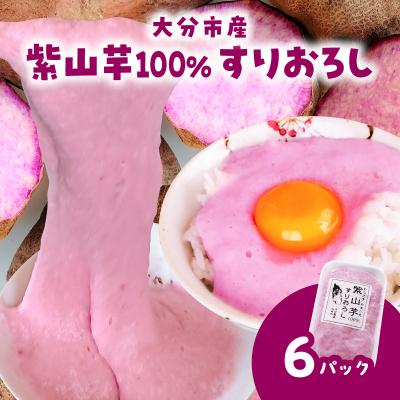 ふるさと納税 大分市 紫山芋100%すりおろし 100g×6袋_K10030