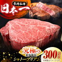 【ふるさと納税】長崎和牛 シャトーブリアン 300g (150g×2枚) 肉 お肉 牛肉 赤身 和牛 希少部位 ヒレ ステーキ ヒレ肉 フィレ 東彼杵町/黒牛 [BBU020]