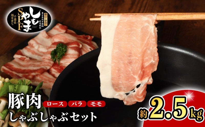 
            豚肉 しゃぶしゃぶ セット ロース バラ モモ 約2.5kg 国産 小分け 真空パック 250g 冷凍 鍋 鉄板焼 ぶた にく ポーク 豚バラ肉 豚ロース肉 豚モモ肉 送料無料 新鮮 SPF SPF豚 しもやまSPF 千葉県 旭市 有限会社下山農場 usn003
          