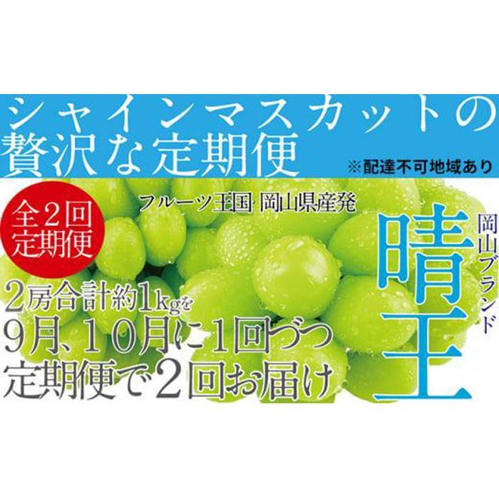 【ふるさと納税】ぶどう 2026年 9月・10月発送 シャイン マスカット 晴王 2房（合計約1kg）×2回 ブドウ 葡萄 岡山県産 国産 フルーツ 果物 ギフト
