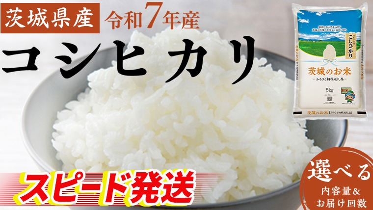 スピード発送!!【 令和7年産 】 茨城県産 コシヒカリ ( 選べる 内容量 ＆ お届け回数 ) 5kg 10kg 15kg 20kg 定期便3ヵ月 定期便6ヵ月 米 お米 コメ 白米 こしひかり 茨城県 精米 新生活 応援 新米 スピード配送