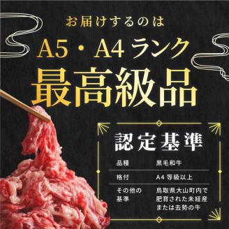 HA-01　肉質日本一の和牛「大山黒牛」切り落し600g