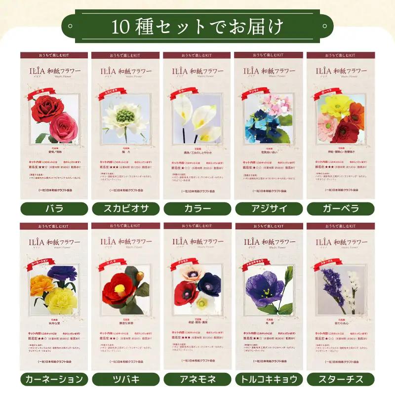 越前和紙 お花 手作りキット 10種セット（バラ カーネーション ガーベラ 他7種）【造花 インテリア お家時間 プレゼント】[e51-c001]