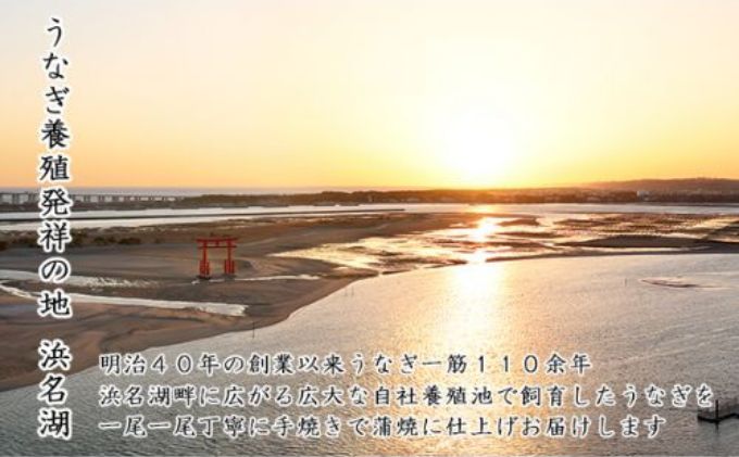 5月6日以降順次発送【訳あり】大和養魚の浜名湖うなぎ蒲焼きざみ（60g×10）蒲焼のたれセット【配送不可：離島】国産 浜松 小分け