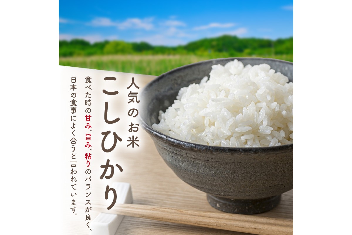 旬の野菜 5〜8種詰め合わせと京都・京丹後産コシヒカリ2kgセット 国産 新鮮 お試し おまかせ お楽しみ　京野菜　朝採れ 季節の野菜 食品 お取り寄せ　お米 ごはん ご飯 こしひかり おにぎり 白米