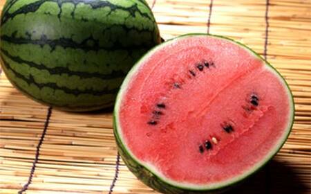 《先行予約 2026年度発送》 小玉スイカと庄内メロンの食べ比べセット （3kg） スイカ すいか 西瓜 デザート フルーツ 果物 くだもの 果実 食品 山形県 FSY-0525