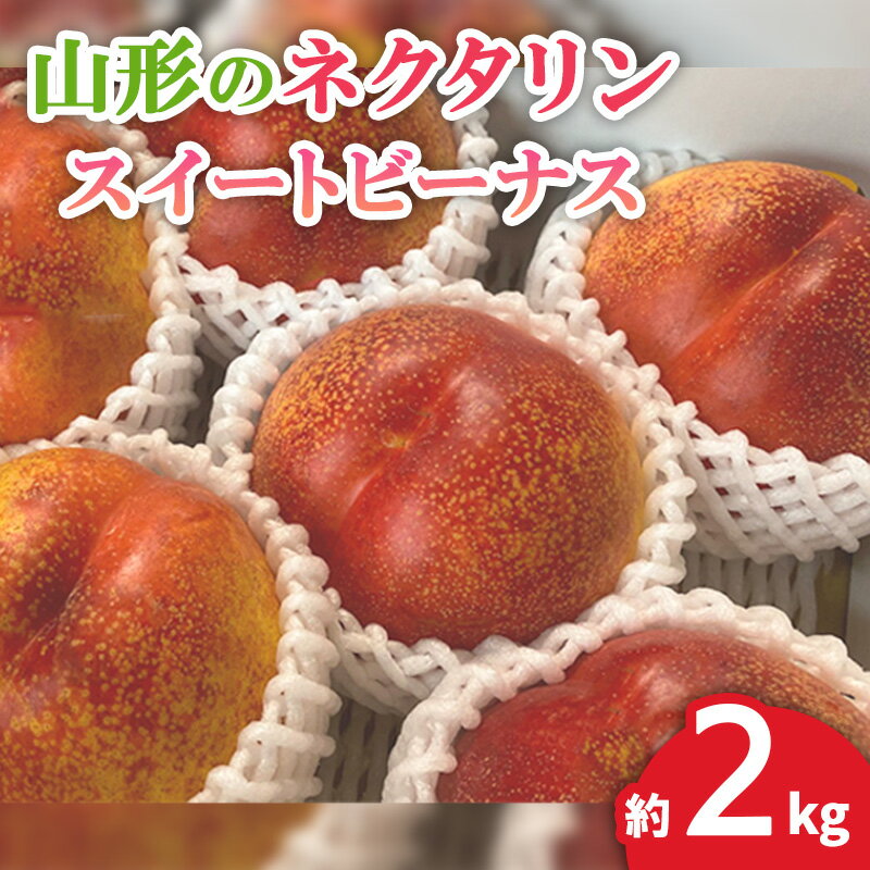 【ふるさと納税】山形のネクタリン(スイートビーナス)約2kg(5〜10玉) 【令和7年産先行予約】FS24-568 くだもの 果物 フルーツ 山形 山形県 山形市 お取り寄せ 2025年産