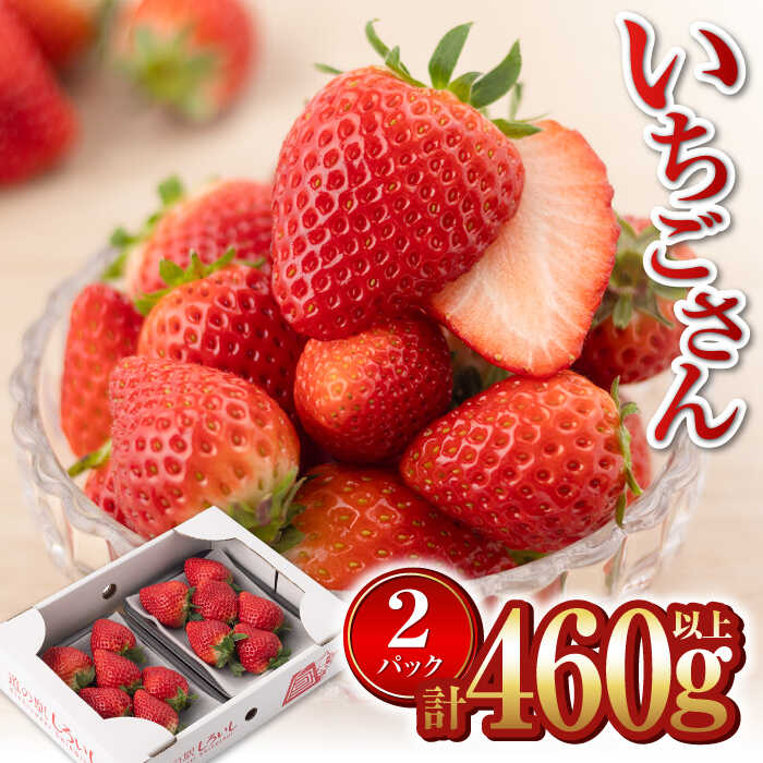 【2026年1月以降発送】【産地直送】白石産いちご「いちごさん」 約230g×2パック（計460g以上）【道の駅しろいしカンパニー】 [IAA037]