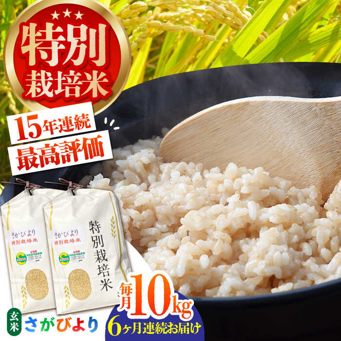 【ふるさと納税】【全6回定期便】特別栽培米 さがびより 玄米 10kg 【だいちの家】 [HAG020]