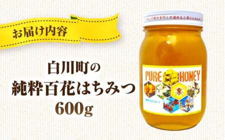 国産百花はちみつ 600g / 白川町農業開発[AWAH007] はちみつ