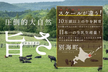 贅沢 ハンバーグ150g×6個 別海町産 黒毛和牛「 名人和牛」 A4 A5 牛肉 100％ （ ハンバーグ 牛肉ハンバーグ 牛ハンバーグ 人気 ふるさと納税 ）