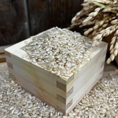 ふるさと納税 千早赤阪村 《玄米2kg》大阪府千早赤阪村産　棚田米