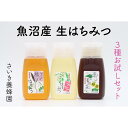 【ふるさと納税】さいき養蜂園　天然ピュアはちみつお試しセット 300g×3種