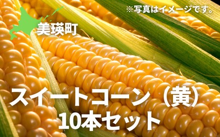 とうもろこし 黄 10本  先行予約 とうもろこし北海道