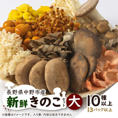 【ふるさと納税】キノコでカラダを整える!新鮮おいしいきのこセット大(10種以上を13パック以上お届け!)_ きのこ キノコ セット 詰合せ 食べ比べ 長野県産 国産 えのき しめじ エリンギ 舞茸 なめこ 椎茸 産地直送 まいたけ 【配送不可地域：離島】【1330948】