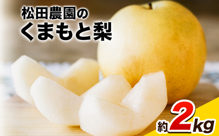 秋 旬 梨 期間限定 【日付指定不可】梨 『松田農園』の くまもと梨 たっぷり 約2kg 5-7玉前後 予約 受付中 熊本県玉名郡玉東町 松田農園 なし 果物 スイーツ フルーツ デザート スムージー 《7月下旬-9月末頃出荷》 ｜ブランド梨 人気 梨 特産品 梨 熊本県 梨 玉東町梨 大人気返礼品