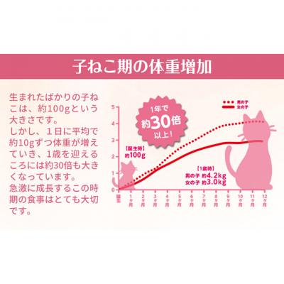 ふるさと納税 伊丹市 銀のスプーン三ツ星グルメ香るお魚仕立て健康に育つ子ねこ用お魚レシピ[54030330] |  | 03