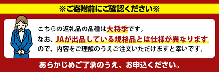 ＜先行予約受付中！2027年4月上旬以降順次発送予定＞ ＼テレビで紹介されました！／数量限定！冷蔵不知火「クールな大将季」(計約3kg) 国産 みかん ミカン 柑橘 フルーツ 果物 旬 デザート 露地