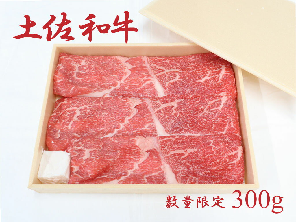 【ふるさと納税】土佐和牛（約300g）