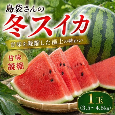 【2027年2月中旬から順次発送】島袋さんの冬スイカ 1玉(3.5～4.5kg)【配送不可地域：離島】