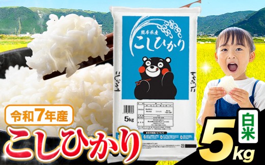 令和7年産  白米 こしひかり 5kg《7-14日以内に出荷予定(土日祝を除く)》熊本県産 ふるさと納税 無洗米 白米 精米 ひの 米 こめ ふるさとのうぜい コシヒカリ コメ お米 おこめ