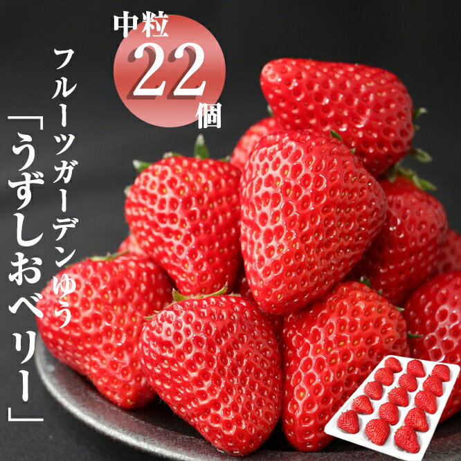 【ふるさと納税】【2026年1月下旬以降順次出荷・予約受付中】フルーツガーデンゆうのイチゴ「うずしおベリー」中粒22個