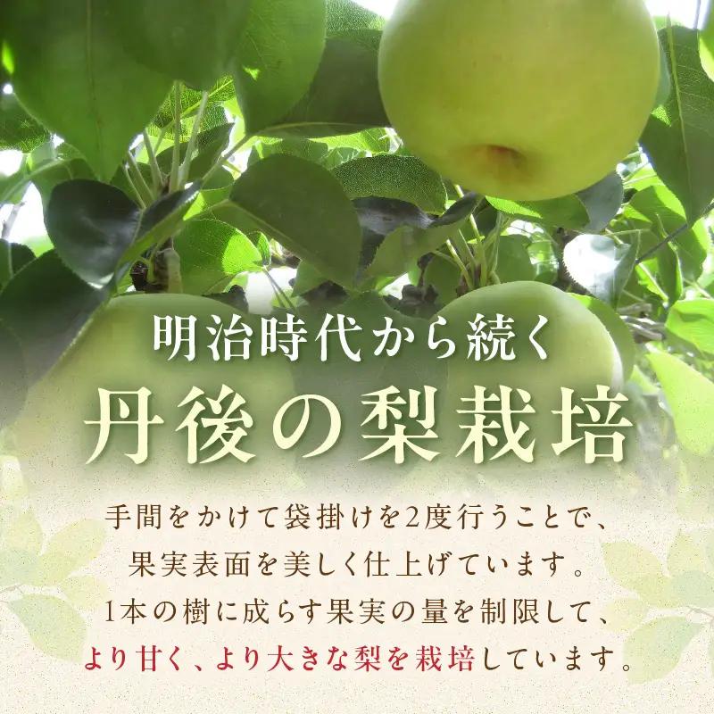 【先行予約／数量限定150】20世紀梨 5kg（2026年9月上旬～発送）梨