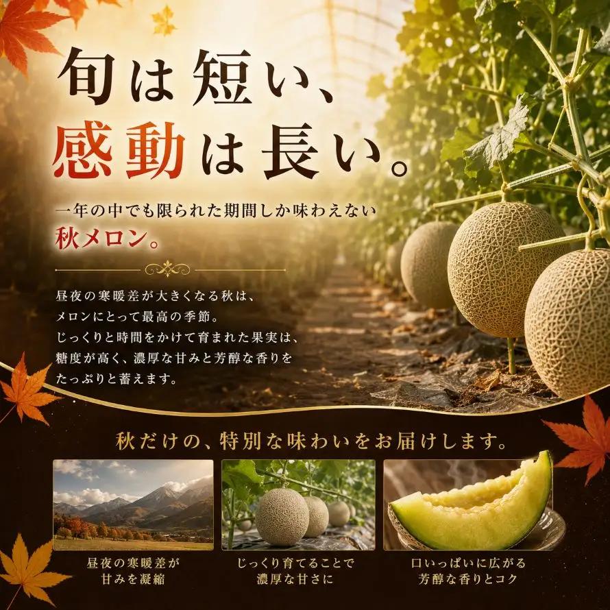 【2027年 先行予約】秋メロン 雅 1玉(約1.5kg) | 完熟 果物 メロン