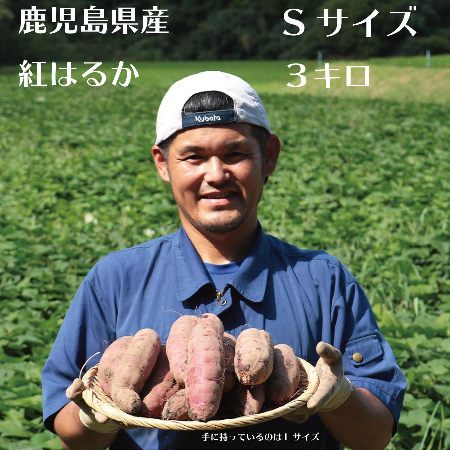 【ふるさと納税】さつまいも 紅はるか 堀りたて 3kg ( 1箱 ) Sサイズ 新物 鹿児島県産 2025年12月末までに出荷 | 野菜 やさい 食品 人気 おすすめ 送料無料 感動さつまいも