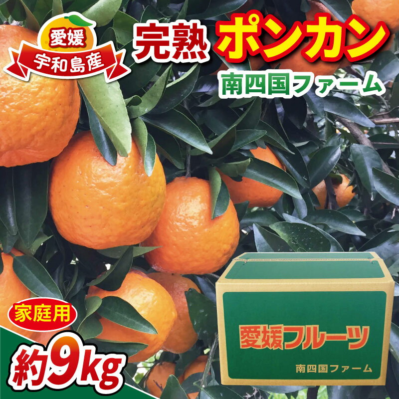【ふるさと納税】 家庭用 完熟 ポンカン 約 9kg みかん 南四国ファーム ぽんかん ミカン 果物 フルーツ 柑橘 蜜柑 mikan くだもの かんきつ 美味しい 甘い 酸味 愛媛ミカン 愛媛みかん 愛媛県産 産直 お取り寄せ 数量限定 産地直送 農家直送 国産 愛媛 宇和島 B013-035004