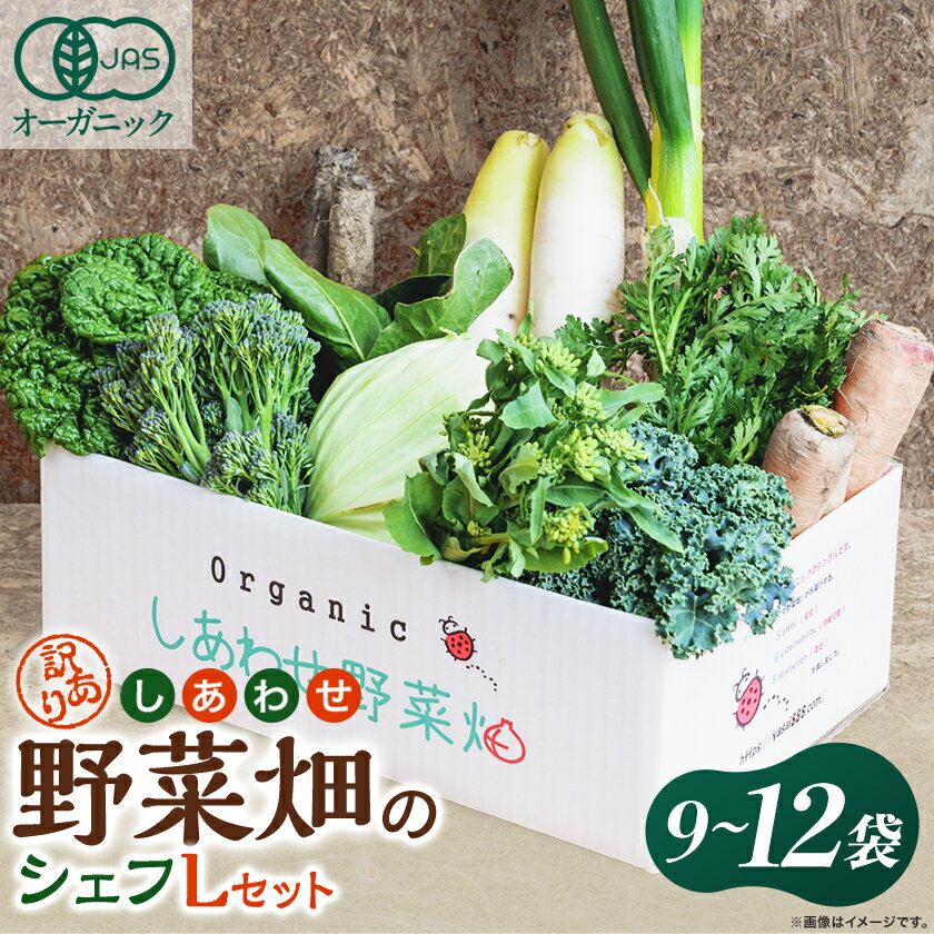 【ふるさと納税】しあわせ野菜畑のシェフLセット　(訳あり規格外の有機野菜を一部使用)【配送不可地域：離島・北海道・沖縄県・四国・九州】【1608189】