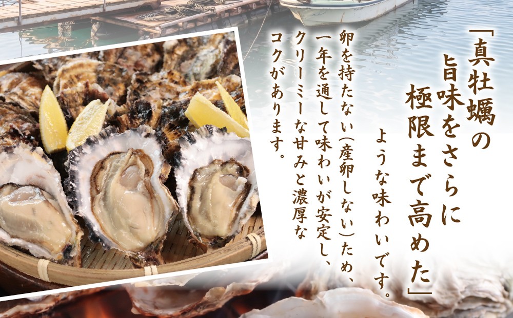 期間限定 三倍体牡蠣 生食用 鳥羽浦村牡蠣