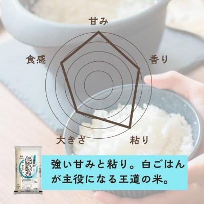 ふるさと納税 大網白里市 【令和7年産】2年連続特A評価!　千葉県 米 コシヒカリ 5kg 無洗米 ( 5kg ×1袋) |  | 01