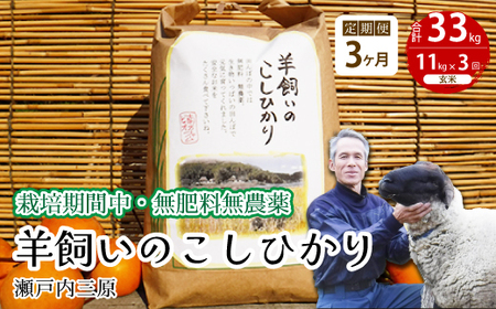 【3か月定期便】《栽培期間中・無肥料無農薬》瀬戸内三原 羊飼いのこしひかり 玄米 11kg×3回 2025年9月上旬発送予定 瀬戸内ビオファーム お米 こめ ご飯 002032