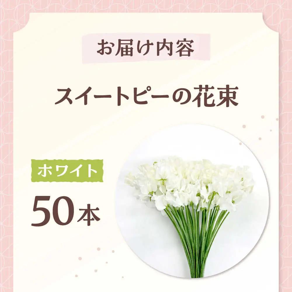 【先行予約 2026年12月～発送】スイートピー 花束 50本（ホワイト） /  [IBW003]