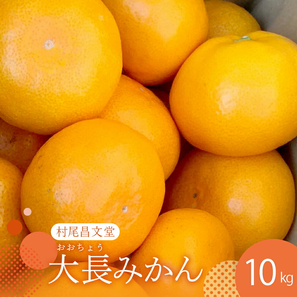 【ふるさと納税】【 2025年 12月 上旬～発送】広島県産 呉 大長みかん 10kg みかん ミカン 柑橘 果物 フルーツ 予約 お取り寄せ 広島県 呉市 大長 果実 果汁 ジューシー 甘い 甘味 酸味 コク 爽やか たっぷり フレッシュ 深みのある甘味 まるみのある酸味