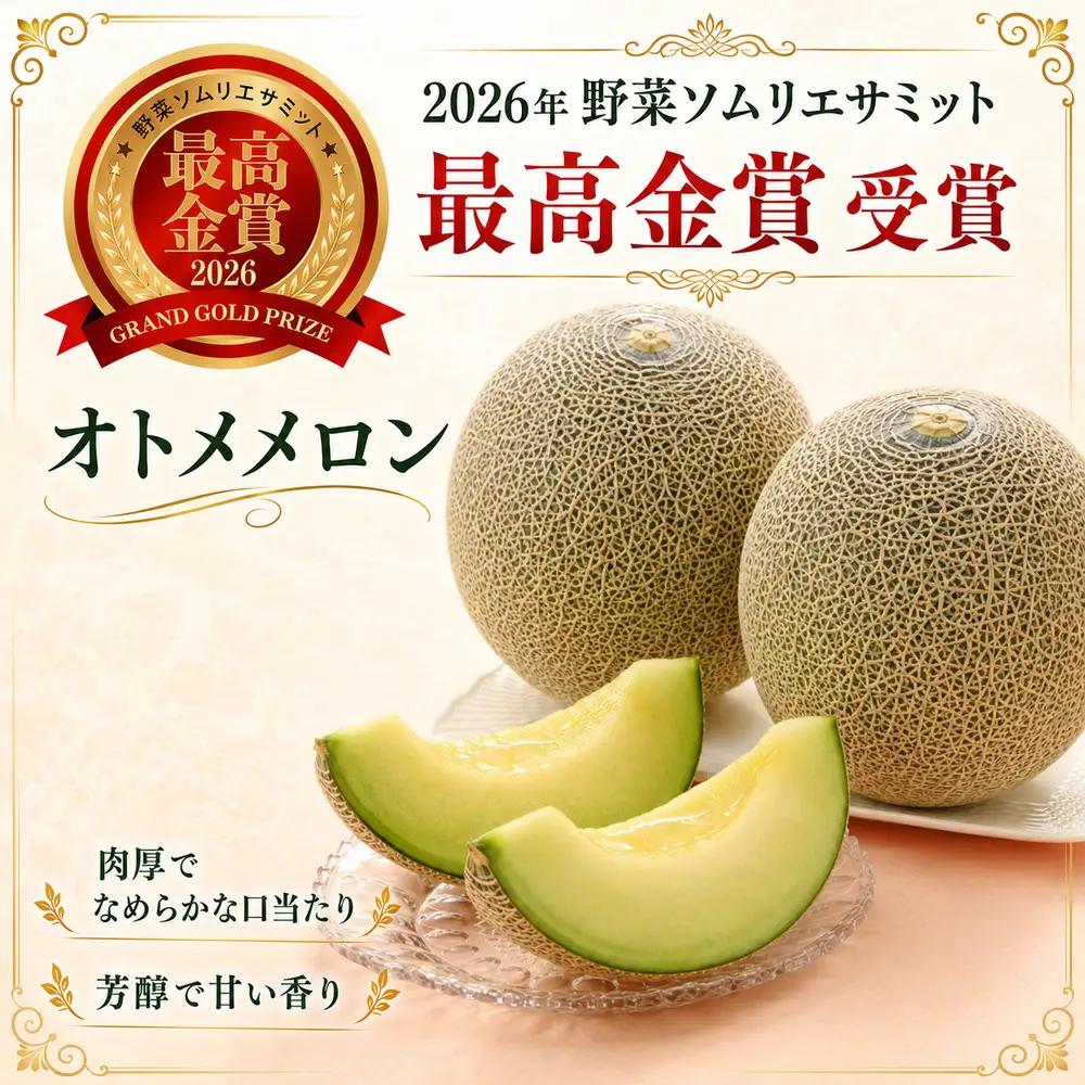 【2027年 先行予約】オトメ 3玉～4玉(約5kg) | 完熟 果物 メロン