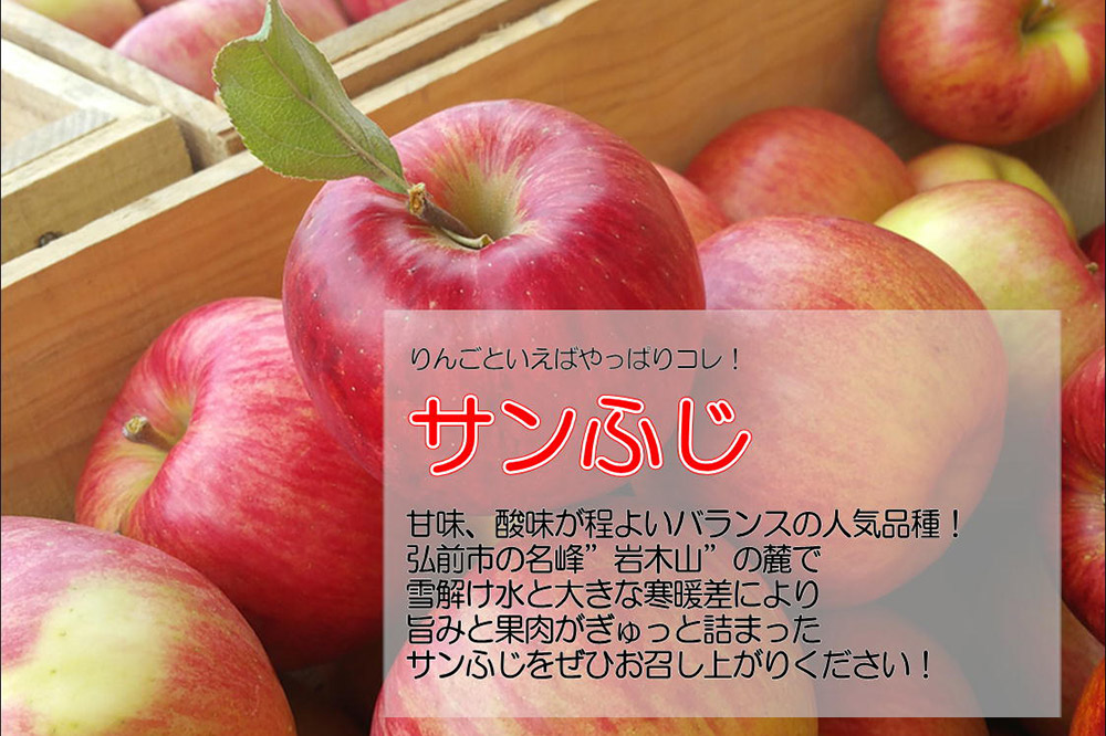 りんご 訳あり家庭用【26年2月出荷】白熊 サンふじ 約5kg（14〜20玉程度）糖度13度