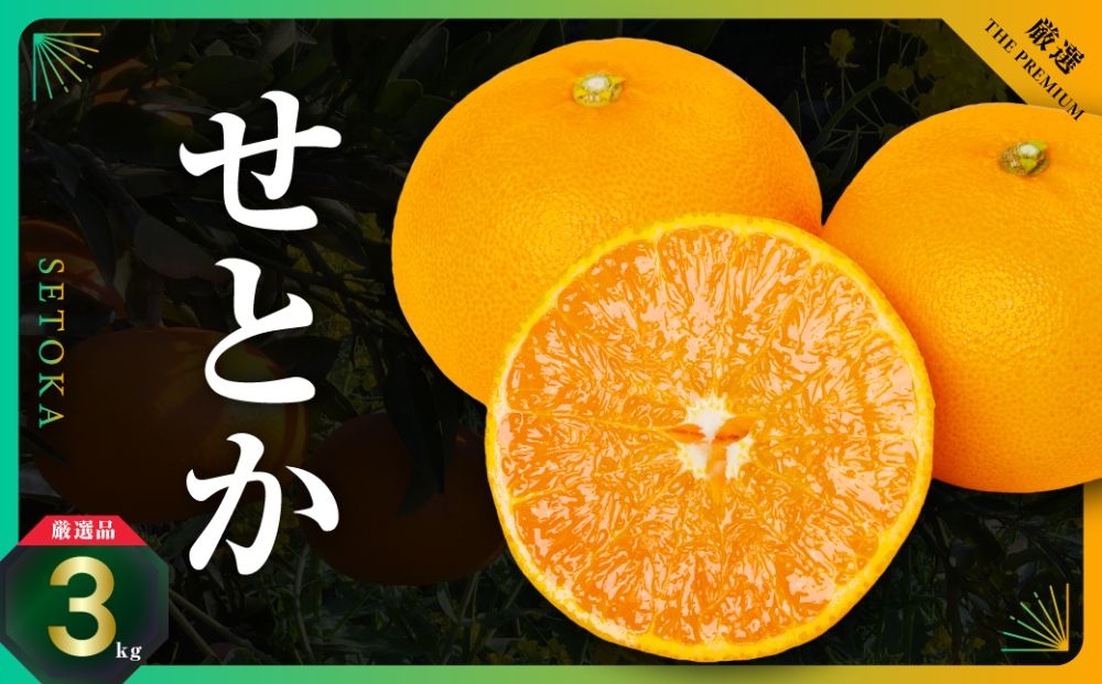 
                  三代目の柑橘の大トロ＜せとか＞3kg＜D31-6＞_せとか 柑橘 フルーツ 果物 くだもの みかん 人気 おすすめ 送料無料 愛媛県 八幡浜 濃厚 甘い【1071620】 YWTAC004
                