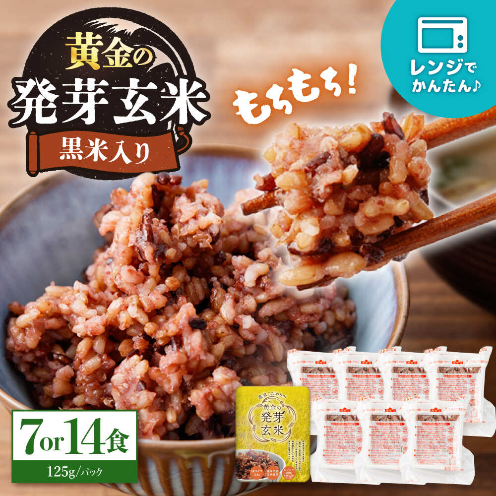 【ふるさと納税】【2月より順次発送】【農家のこだわり米】 黄金の発芽玄米 黒米入り パックご飯 7食 or 14食 ＜AgriBaseさいかい＞[CGV001] 長崎 西海 米 玄米 黒米 ご飯 朝ごはん 簡単調理 非常食 ごはん