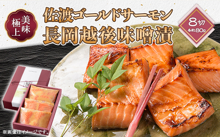 66-17美味極上　佐渡ゴールドサーモンの長岡越後味噌漬 8切入