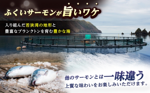 国産 ふくいサーモン 200g×4パック 合計800g  【配送不可地域：北海道・沖縄・離島】  [BFAA075] 