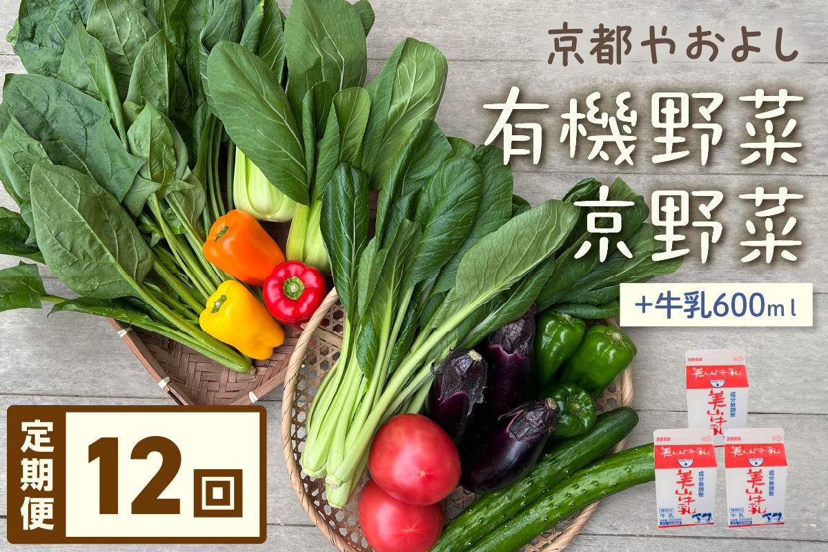 
                  【定期便】合計12回お届け　有機野菜・京野菜の『京都やおよし』のお野菜＆牛乳200ml×3本の詰め合わせ｜野菜 京都産 オーガニック 有機 農薬不使用 減農薬 野菜セット 詰め合わせ 美山牛乳 ご当地牛乳　AA00045
                