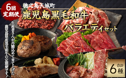 【6回定期便】鹿児島黒毛和牛 バラエティセット 焼肉 すき焼き ステーキ バラスライス 和牛ミンチ ハンバーグ 鹿児島牛 鹿児島黒毛和牛 黒毛和牛 ロース カルビ バラ 冷凍 定期便 6回